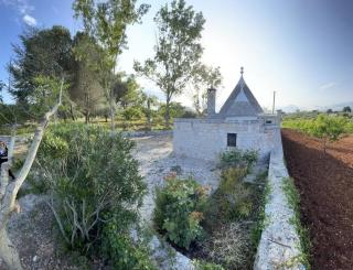 Trullo Dei Nonni - Locorotondo - 2
