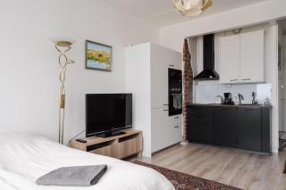 Renovated Top Floor Studio in Kallio - Helsinki - 7