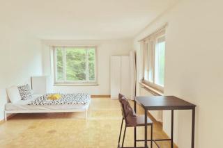 Huge Charming City Center Apartments with Balcony & Garden View RIGI - Zurigo - 7