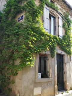 Chambre chez l'habitant - Saint-André-de-Sangonis - 1