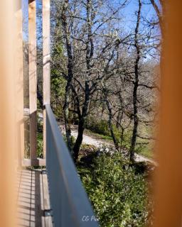 La Maison du Gindreau - Saint-Médard - 5