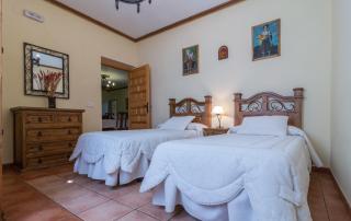 Casa Rural La del Alba Sería - Argamasilla de Alba - 7