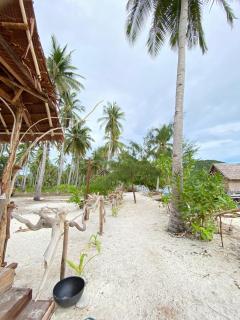 Wesano Homestay Raja Ampat - - 6