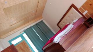 Dodo House Tosh - 8