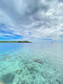 Wesano Homestay Raja Ampat - - 1