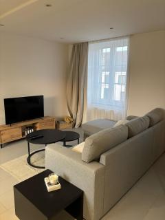 Appartement neuf CDG, Asterix, Chantilly, Mer de Sable - 0