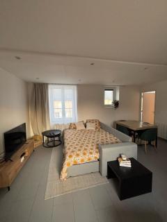 Appartement neuf CDG, Asterix, Chantilly, Mer de Sable - La Chapelle-en-Serval - 8
