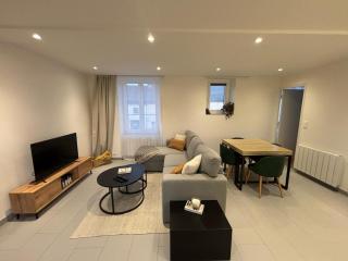 Appartement neuf CDG, Asterix, Chantilly, Mer de Sable - La Chapelle-en-Serval - 5