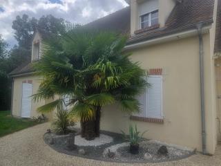 B&B Chez Séverine - Lamotte-Beuvron - 5
