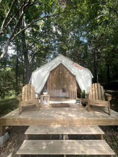 Serene Getaways to Nature on Horse Farm in Lafayette, Georgia - LaFayette - 9