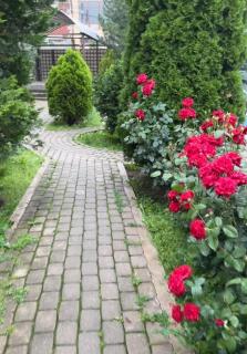 Homeland - Besqaynar - 6