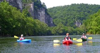 Cozy Romantic Getaway Overlooking the New River in Independence, Virginia - Independence - 5