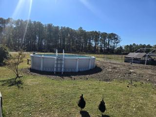 Cozy Equipped Camper With Picnic Space, Pool and BBQ in Virginia - Diggs - 8