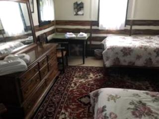 Cozy Suite Rental with Complimentary Breakfast in Blue Mountain Lake, New York - - 8