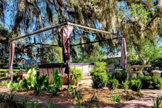 Gorgeous Glamping Tent on a Farm near the Suwannee River, Florida - Live Oak - 5