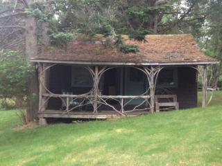 Rustic Cabin Rental near Long Lake in Upstate New York - - 0