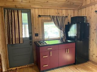 Rustic Cabin Rental near Long Lake in Upstate New York - - 3