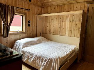Rustic Cabin Rental near Long Lake in Upstate New York - - 1