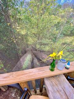Fabulous and Unique Tree House Rental for Romantic Glamping in Florida - Live Oak - 5