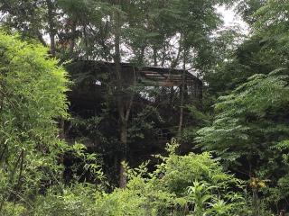 Fabulous and Unique Tree House Rental for Romantic Glamping in Florida - Live Oak - 2