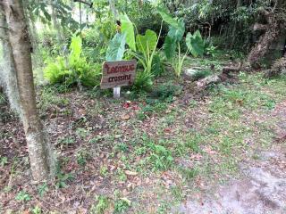 Fabulous and Unique Tree House Rental for Romantic Glamping in Florida - Live Oak - 1