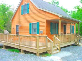 Secluded Cabin Nestled in the Mountains near the Tioga State Forest, Pennsylvania - Blossburg - 8
