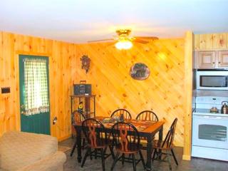 Secluded Cabin Nestled in the Mountains near the Tioga State Forest, Pennsylvania - Blossburg - 2