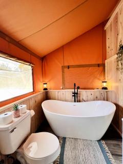 Outstanding Safari Tent with Jacuzzi and and Beautiful Outdoor and Indoor Living in Florida - Punta Gorda - 3