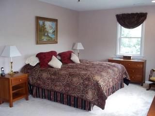 Charming Vacation Rental overlooking New River in the Blue Ridge Mountains of Virginia - Independence - 6