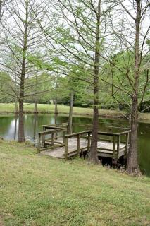 Elegant Bed and Breakfast Getaway with Pine King-Size Bed and Soaking Tub in College Station, Texas - College Station - 6