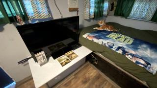 Picturesque Glamping Experience in Winchester, Kentucky - Winchester - 6