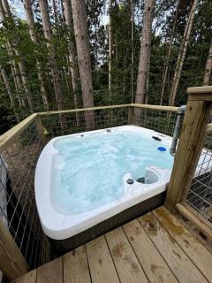 Luxury Private Dome with Spa and Fire Pit in Benzonia, Michigan - Benzonia - 8