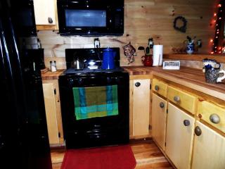 Rustic Woodland Cabin Rental near Oneida Lake, New York - Blossvale - 6