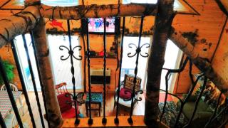 Rustic Woodland Cabin Rental near Oneida Lake, New York - Blossvale - 1