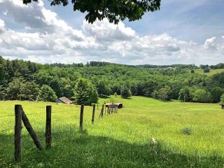 Peaceful Safari Tent Rental near Barron Springs, Virginia - Willis - 1