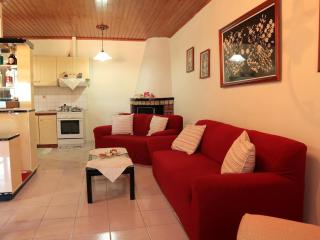 Stathis & Maria's Traditional House - Fternón - 9