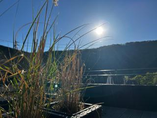 Altes Weinhaus - 2