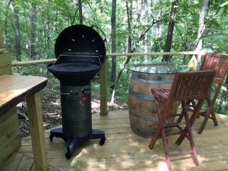 Secluded Cassville Retreat Ideal for Glamping in Missouri - Cassville - 9