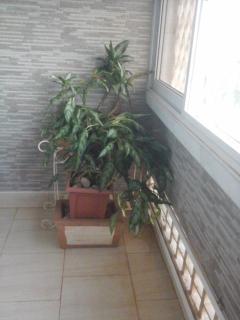 Fancy 2 bedrooms opposite Makerere University - Kampala - 5