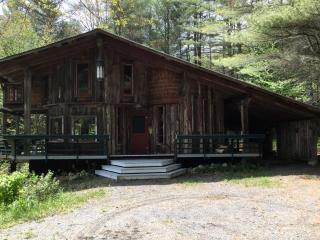 Secluded and Relaxing Luxury Cabin Rental in Adirondack Park - Wells - 0