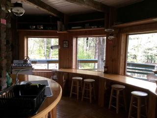 Secluded and Relaxing Luxury Cabin Rental in Adirondack Park - Wells - 7