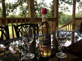 Secluded Getaway on a Vineyard in Allen, Oklahoma - - 4