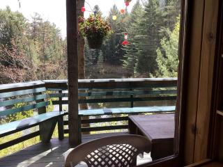 Secluded and Relaxing Luxury Cabin Rental in Adirondack Park - Wells - 3