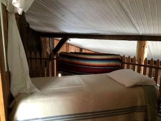 Secluded and Relaxing Luxury Cabin Rental in Adirondack Park - Wells - 1