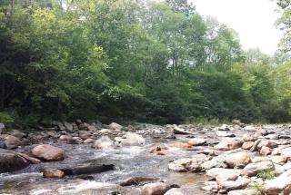 Creative Moutain Getaway with Live Music close to Boston, Massachusetts - Hawley - 4