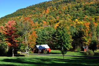 Light-Filled, Well-Appointed Mountain Cabin for a Vacation in Wells, Vermont - Wells - 9