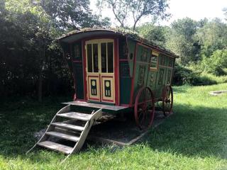 Romantically Rustic Gypsy Caravan Rental for Glamping in Virginia - Willis - 9