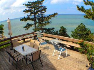 Large Beachfront Cottage Rental next to Indiana Dunes National Lakeshore, Indiana - - 0