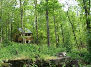 Rustic Cabin Rental with Stunning Forest Views in the Ozarks, Missouri - Salem - 9