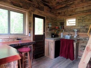 Rustic Cabin Rental with Stunning Forest Views in the Ozarks, Missouri - Salem - 8